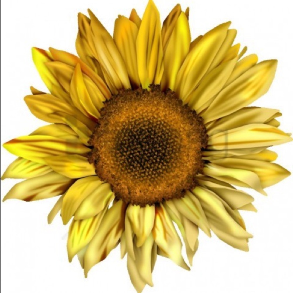 Meet your Posher, Jocelyn